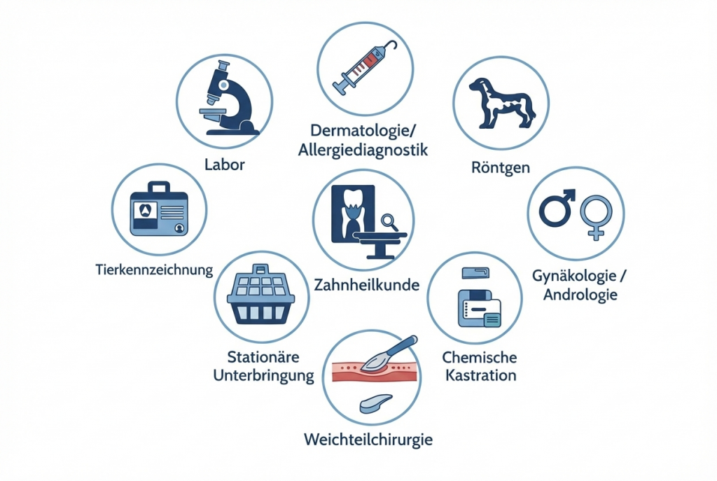 Dienstleistungen Tierarztpraxis Dr. Buss